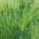 을지아파트 상가 이미지