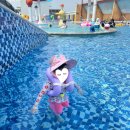 경기테크노파크 P-1동 | 시흥 5살 아이랑 수영장 가볼 만한 곳 파라다이브 파라루프 워터파크 예약 20250731