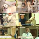 호야스튜디오 이미지