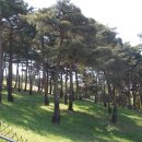 옥계목장 이미지