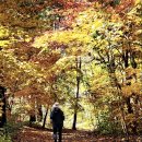 가리약수터 이미지