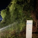 소노캄제주WEST동 이미지