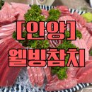 안양시 호계동 웰빙센터 | [안양/호계동] 호계동 참치맛집 , 웰빙참치 내돈내산 후기 (+ 배달,포장도 가능)