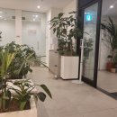 더왈츠의원 | "더왈츠의원"에서 < 채움0.8cc>애플존 필러 맞은 후기,채움필러와 채움필러 유지기간