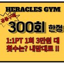 N 피티짐 이미지