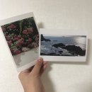 규포토 | 구미 신상카페 사곡동 260km 후기