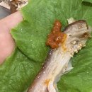 족발마을김족장-영등포점 | 마곡족발 어디서 먹을까? 족발마을김족장 방문 후기