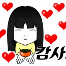 용쌤필라테스앤요가
