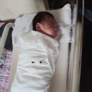 동실농장 이미지