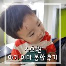 수의원 | 동래 수의원 아기 봉합 수술 후기