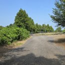 들레목장 이미지