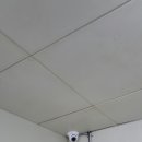 시온카센타 이미지