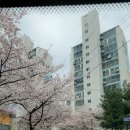 케이와이키친 이미지