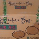 개진 이미지