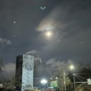 보광동주민센터 이미지