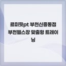 르미핏 이미지