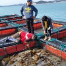 으뜸전복수산 이미지