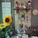 도토리 노래연습장 이미지