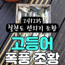 포인트낚시 이미지