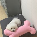 따숩개하우스 이미지