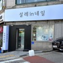 설레인네일