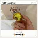 호두파야 | 부산 | 겨울 간식 글루텐 프리 호두과자 맛집 호두파야 서면