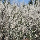 SK월드컵주유소 | 2026년 03월 31일 화요일 아침 세상소식