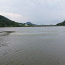 영천참붕어 이미지