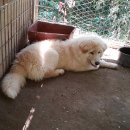 울산농장 이미지