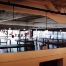 푸른솔 태권도 이미지