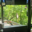 예당막국수식당