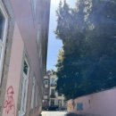 안단테민박 이미지