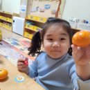 거진항코다리 네이버블로그