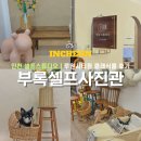 클래식 | 인천 셀프사진관 부록셀프사진관 루원시티점 클래식룸 후기