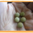 하이리빙 프로슈머 이미지