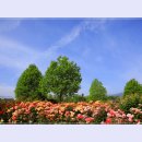 곡성-089 이미지