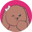 코미501 이미지