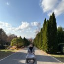 자원(주) | 나주 아기랑 갈만한곳 산림자원연구소 단풍 개화 상태(25년 11월)