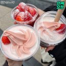 우리동네 개밥하우스 | 삶의 반직선 위에 점일뿐이야