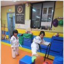 블랙벨트태권도 이미지