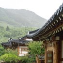 불비당 이미지