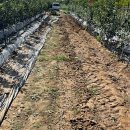 논일농장 이미지