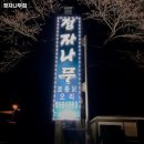 도원동 정자나무 - 4037 | 도원동 정자나무