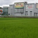 고맛나루공주시농협쌀조합공동사업법인 네이버블로그