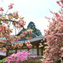 선암사 관광안내소 이미지