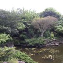 표선가시리민박 이미지