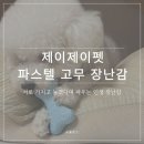 제이제이펫 | 제이제이펫 파스텔 고무 장난감 : 강아지용품 하나로 강아지치아 관리와 스트레스 해소까지!