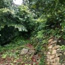 도당산성 이미지