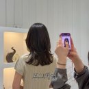 보그헤어 시티세븐 미용실 헤어샵 시그니처 하이레이어드 복구C컬펌 평일 이벤트 후기