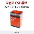 씨에스티 이미지